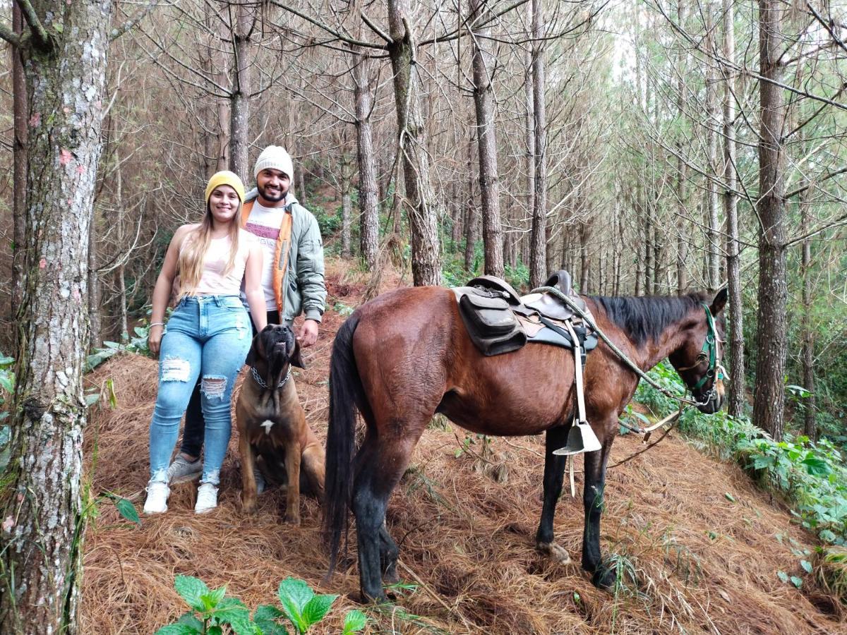 Glamping Rustiko Hostel Salento Luaran gambar
